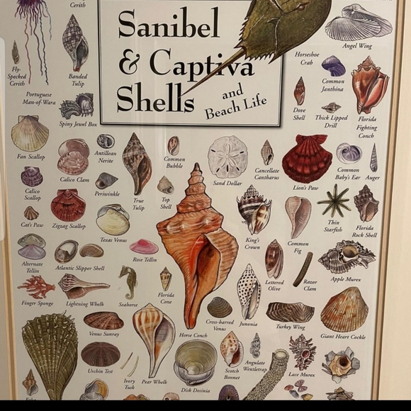 5/$25🌴Handmade " Relax" Hanging Picture Frame - Picture 8 of 8